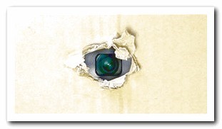 Hidden Camera Dog Playing Piano